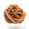 Rosette aus Sand und Naturgips - 2