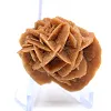 Rosette aus Sand und Naturgips - 3