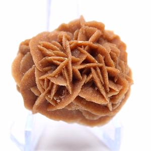 Rosette aus Sand und Naturgips