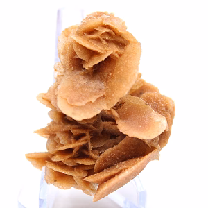 Kristalline Sandblütenblätter, Algerien