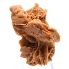 Kristalliner Cluster aus Sahara-Gips - 0