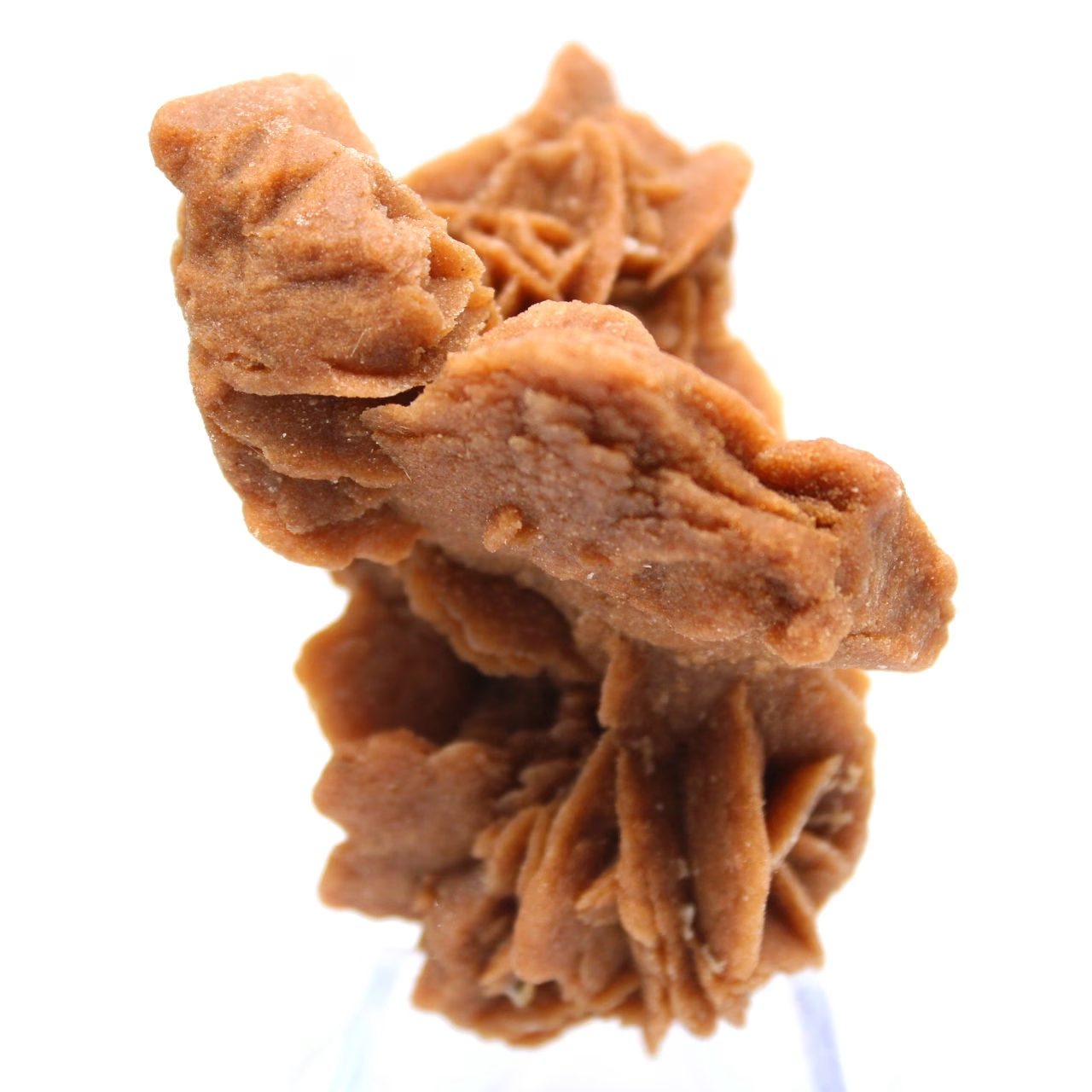 Kristalliner Cluster aus Sahara-Gips