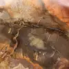 Versteinertes Majunga-Holz – natürlich entstandene, polierte Scheibe - 4