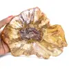 Polierter Abschnitt aus fossilem Holz – Mineral aus Majunga - 0