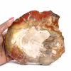 Bois Silicifié de Madagascar - Tranche Carrée pour Collection