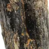 Schwarzer Rohturmalin – Natürlicher Kristall aus Madagaskar - 5