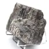 Großer schwarzer Turmalin aus Madagaskar – Authentisches Mineral - 2