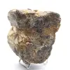 Mineralogisches Exemplar – Roher schwarzer Turmalin aus Madagaskar - 2