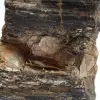 Mineralogisches Exemplar – Roher schwarzer Turmalin aus Madagaskar - 5
