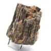 Schwarzer Turmalin aus Madagaskar – Rohkristall - 2