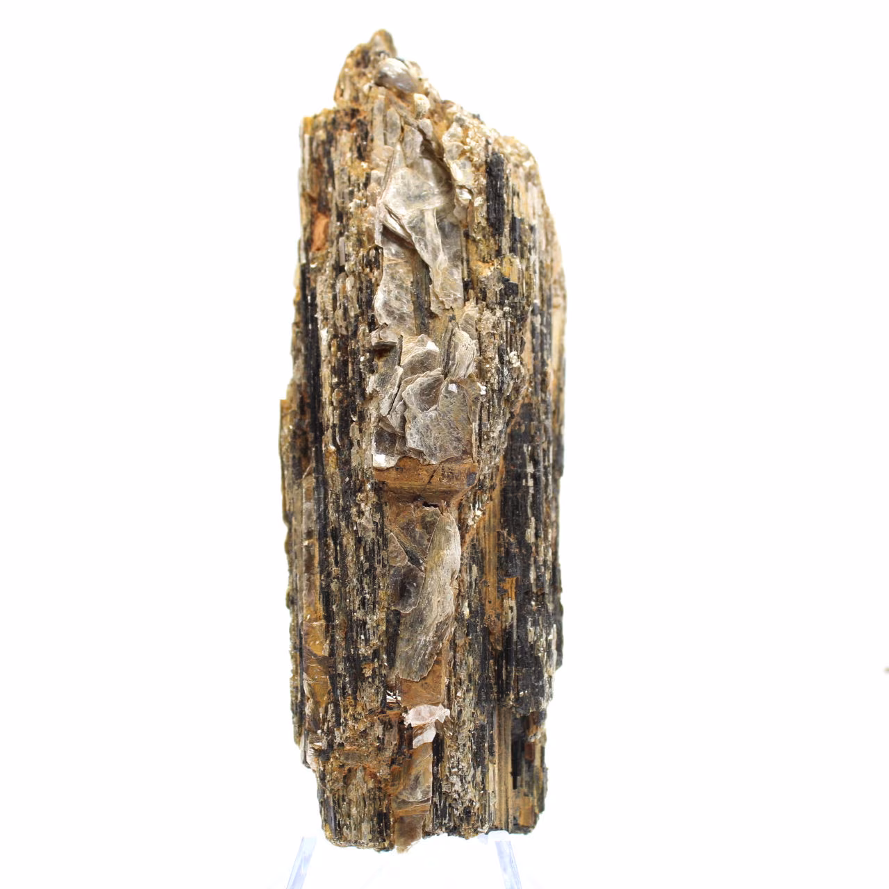Kleines Exemplar von schwarzem Turmalin - Madagaskar