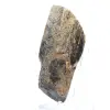 Schwarzer Rohturmalin – Herkunft: Madagaskar - 2