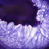 Steindekoration: Scheibe aus violettem brasilianischem Achat - 2