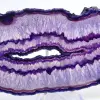 Mineralienverzierung: Scheibe brasilianischer violetter Achat - 2
