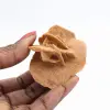 Mini-Marokkanische Wüstenrose: Exemplar aus natürlichem Gips - 1