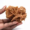 Wüstenrose der algerischen Sahara - 1