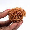 Rosette aus Sand und Naturgips - 1