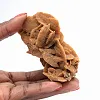 Mineralstruktur der algerischen Wüste - 1