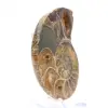 Ammonit aus Madagaskar: Mineralogisches Exemplar - 3