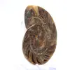 Fossiler Ammonit: Kontrast natürlicher Texturen - 3