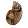 Ammonit aus Mahajanga: Mineralische Harmonie - 3