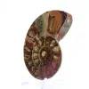 Fossilisierter Ammonit: Mineralienprobe aus Madagaskar - 3