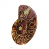 Ammonit aus Madagaskar: Mineralfeinheit - 2