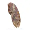 Ammonit aus Madagaskar: Mineralfeinheit - 3