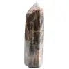 Schwarzer Mondsteinprisma aus Madagaskar – Sammler-Mikroklin - 2