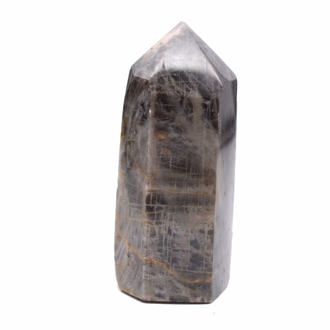 Exemplarprisma für Sammler – Schwarzer Mondstein-Mikroklin