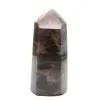Madagaskar-Mikroklin-Prisma – Eleganter schwarzer Mondstein - 0
