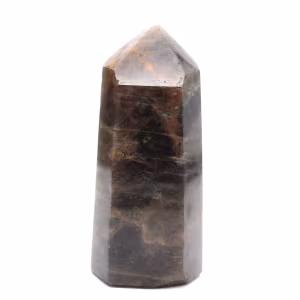 Madagaskar-Mikroklin-Prisma – Eleganter schwarzer Mondstein