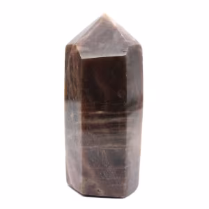 Microcline Kollektion Prism – Intensiver schwarzer Mondstein