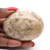 Natürlicher Feldspatkiesel aus Madagaskar - 0