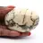 Feldspatkiesel aus Madagaskar – Geologische Probe