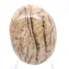 Madagaskar-Feldspatkiesel – Sammlerstein - 1