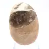 Madagassischer Feldspatkiesel – Natürliches Exemplar - 2