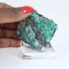 Rohe Brochantitkristalle auf Ganggestein aus Chile auf Grund - 1