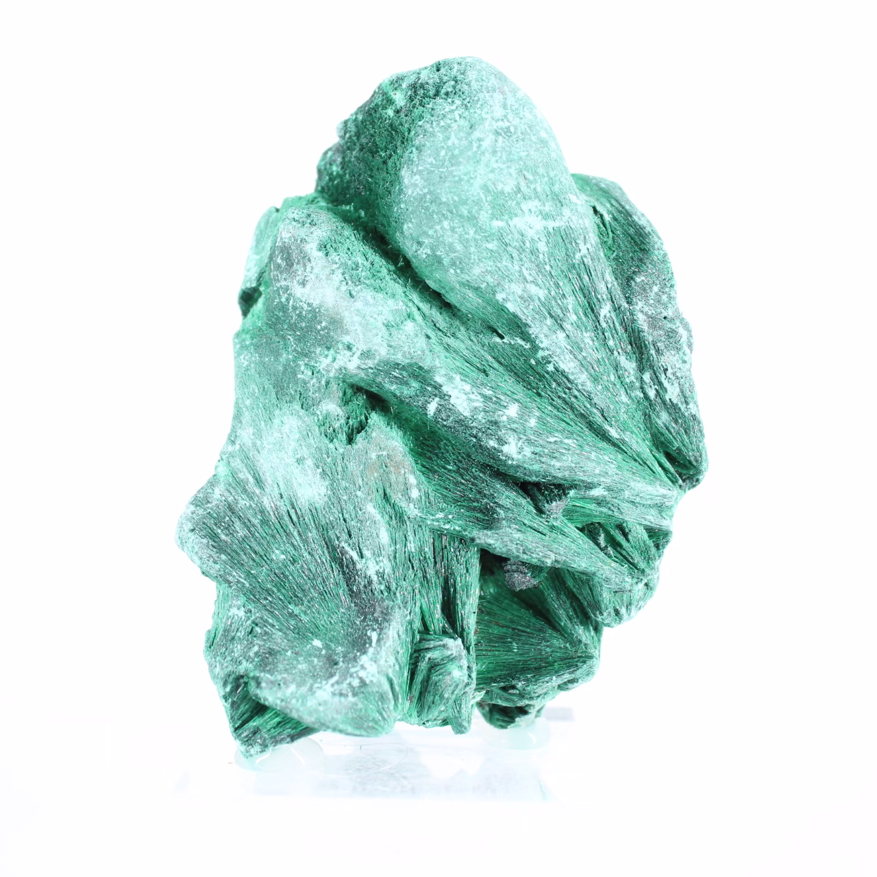 Seidige Malachit aus Kongo-Kinshasa, Sammlermineral auf Sockel
