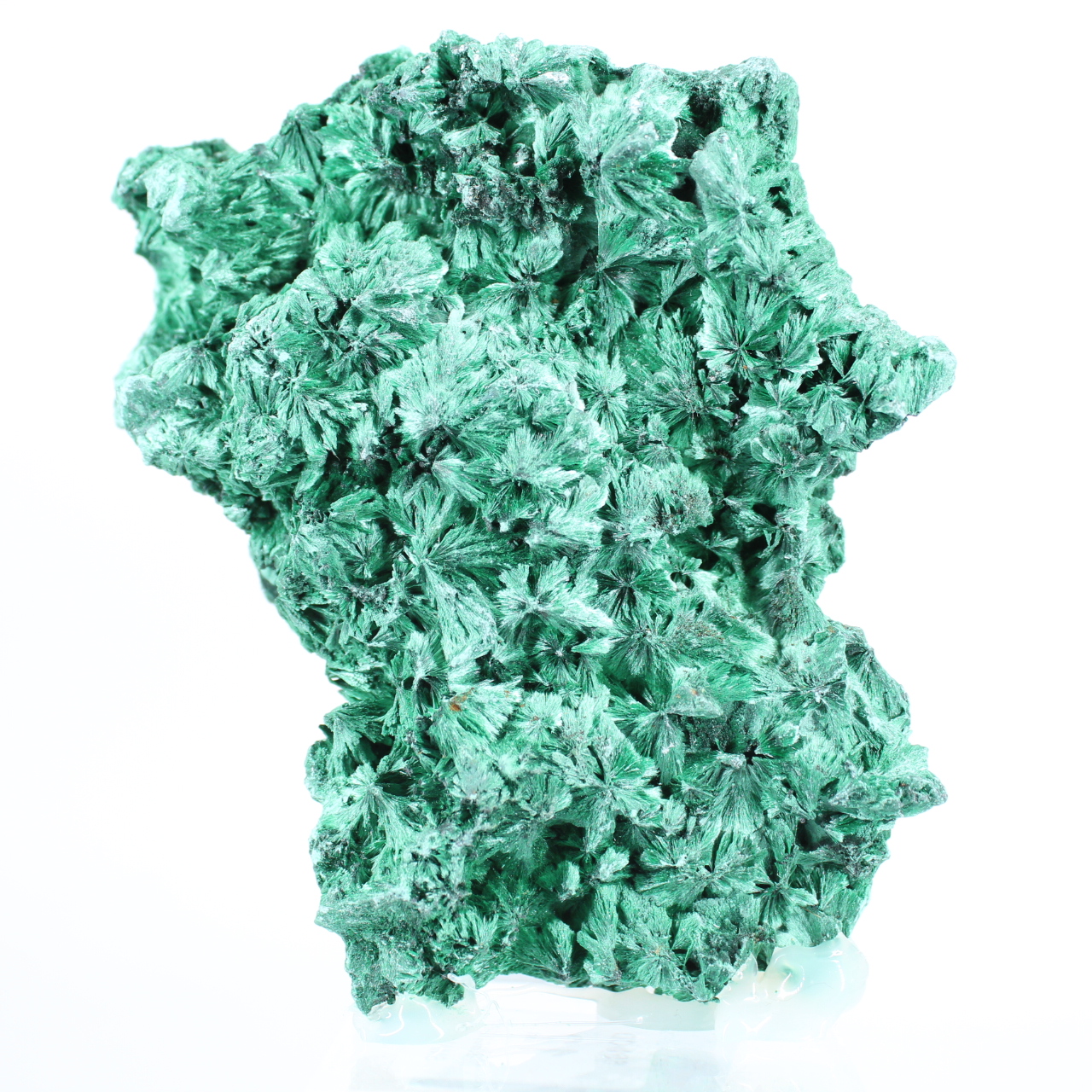 Faserige Malachit mit flachem Profil aus der DR Kongo, dekoratives Mineral auf Sockel