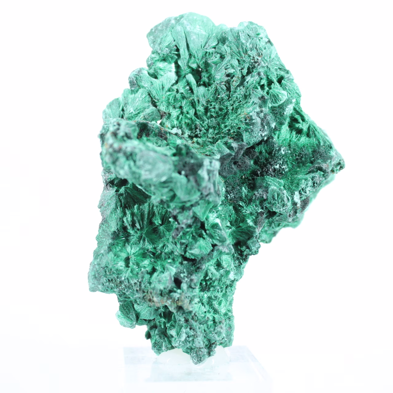 Malachit aus dem Kongo mit faseriger Struktur, Mineralexemplar auf Sockel