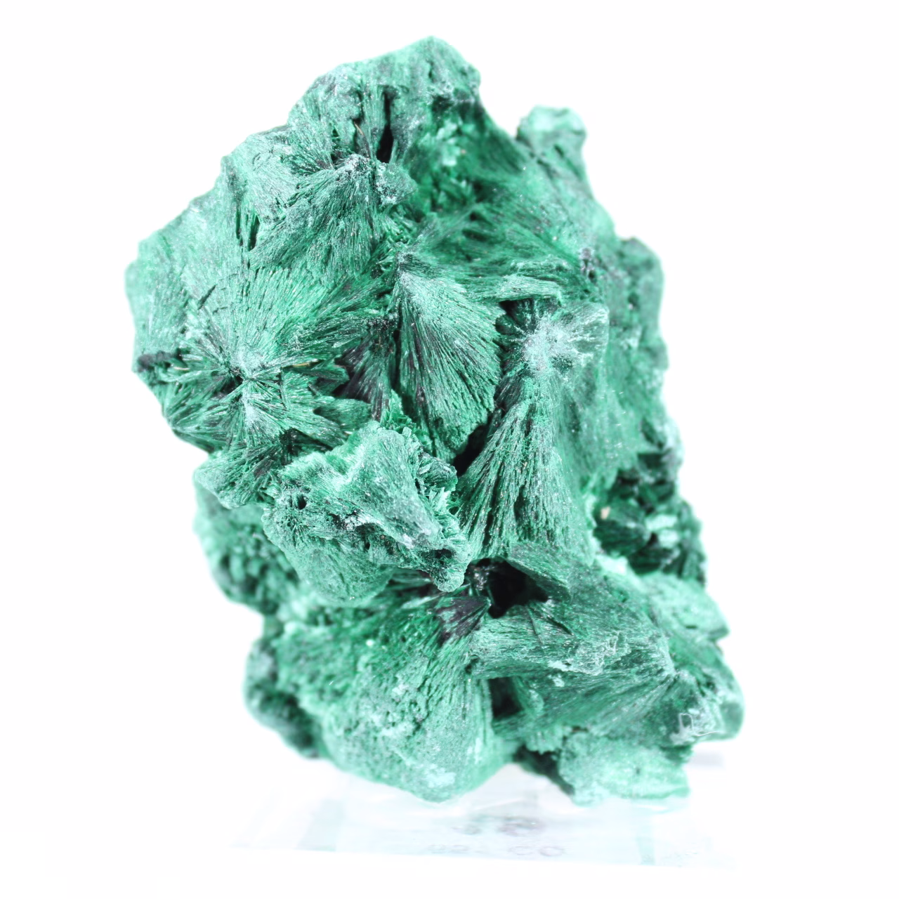 Dichte Malachit mit engen Fasern aus dem Kongo, Mineral auf Acryl