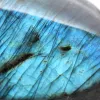 Mineralische Freiform aus poliertem Labradorit aus Madagaskar - 4