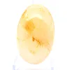 Gelber Quarz aus Madagaskar als polierter Sammler-Trommelstein - 1