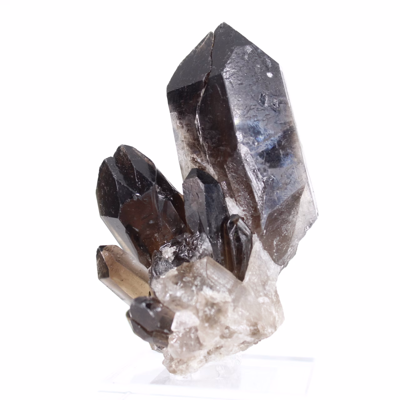 Gedrungener Morion-Quarzkristall aus Brasilien, Mineralexemplar auf Sockel
