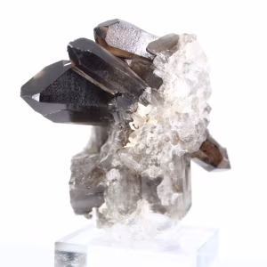 Morion-Quarzkristall brasilianischer Herkunft, Acryl-Präsentationsständer