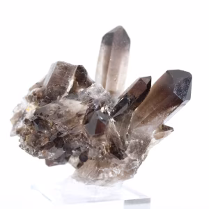 Morion-Quarzkristall aus Brasilien, schwarzes Mineral auf Sockel montiert