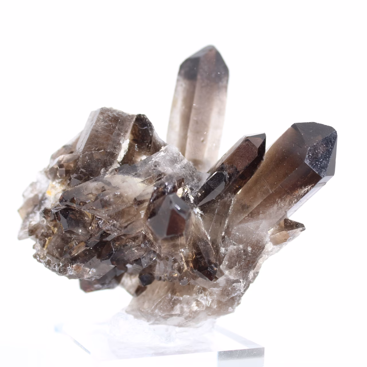 Morion-Quarzkristall aus Brasilien, schwarzes Mineral auf Sockel montiert