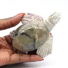 Geschnitzte Schildkröte aus natürlichem Speckstein aus Bolivien - 0