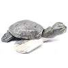 Dekorative Schildkröte aus natürlichem bolivianischem Speckstein - 1